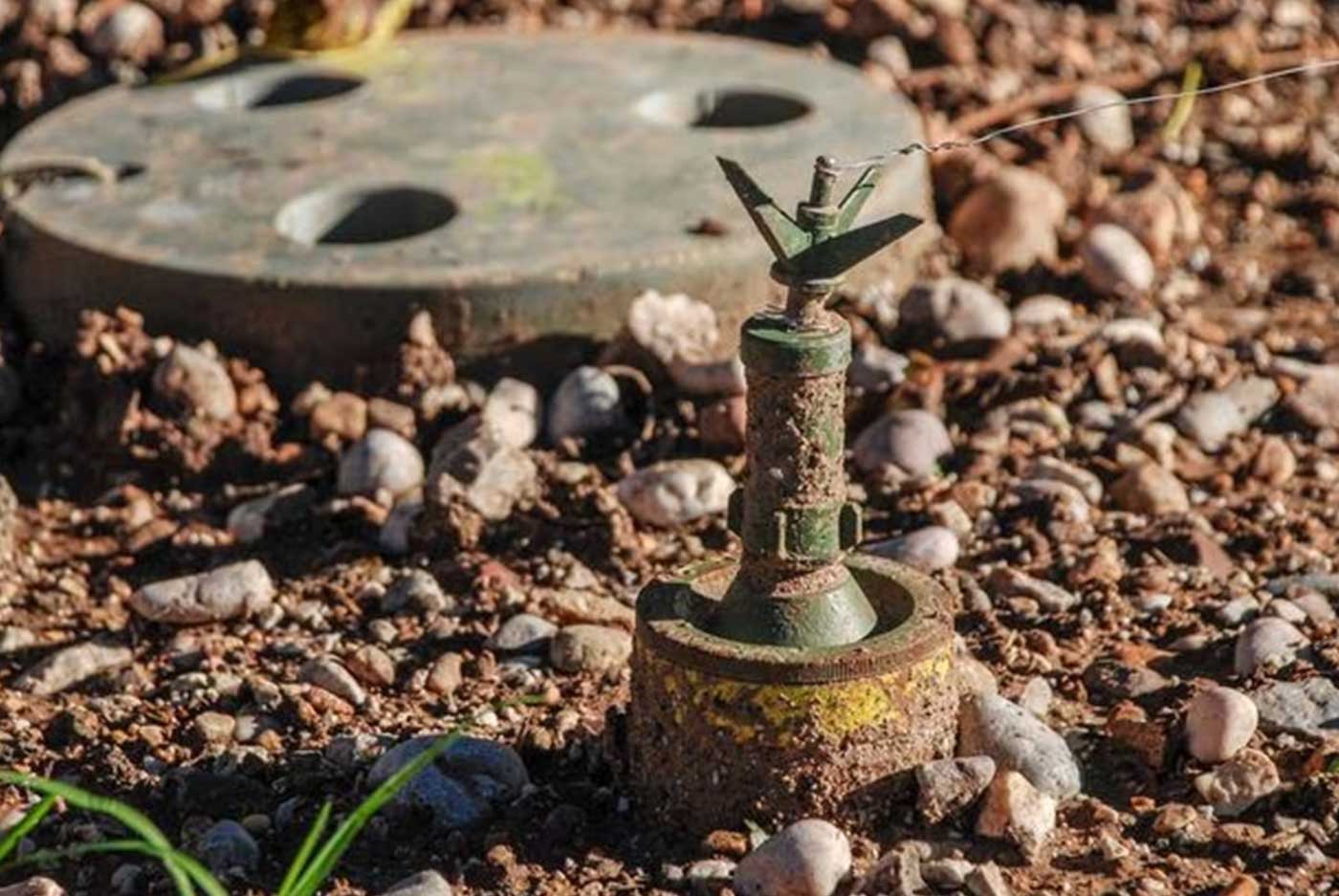 خبير…تم تدمير 9 ملايين لغم من اصل 11 مليون لغم زرعتها فرنسا في الجزائر