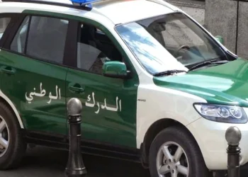 الدرك الوطني…حجز قطع أثرية تاريخية