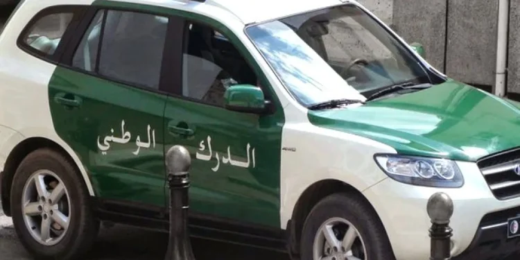 الدرك الوطني…حجز قطع أثرية تاريخية