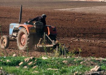 الفلاحة في الجزائر