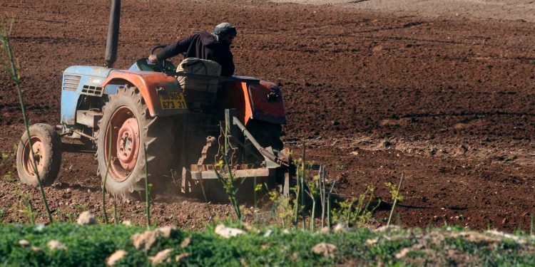 الفلاحة في الجزائر