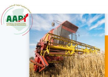 استثمار: تسجيل 4000 مشروع، بقيمة تتجاوز 13 مليار دولار