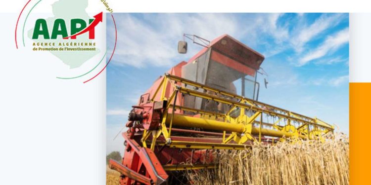 استثمار: تسجيل 4000 مشروع، بقيمة تتجاوز 13 مليار دولار