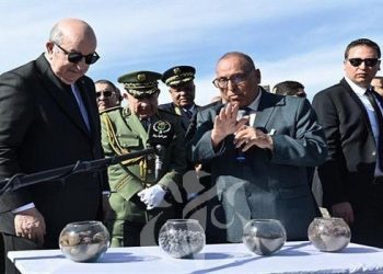 من بين أضخم احتياطات الحديد في العالم…تبون يضع حجر أساس مصنع حديد غار جبيلات