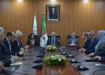 ربيعة خرفي على رأس المجلس الاقتصادي والاجتماعي والبيئي