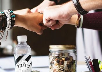 مؤسسات ناشئة