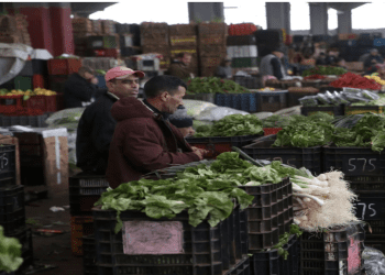 نحو عصرنة تسيير أسواق الجملة