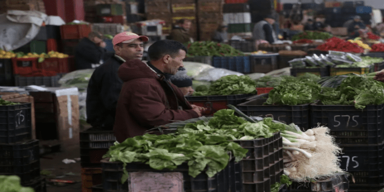 نحو عصرنة تسيير أسواق الجملة