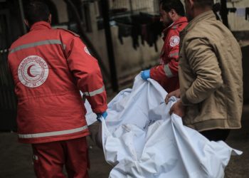 أكثر من 100 شهيد…الاحتلال يقصف المدنيين في معبر رفح