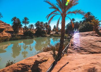 انتشال جثتي طفلين غريقين في احدى واحات النعامة