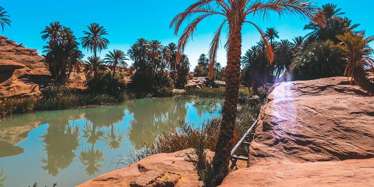 انتشال جثتي طفلين غريقين في احدى واحات النعامة