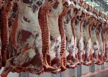 تحديد هوامش ربح البقوليات واللحوم