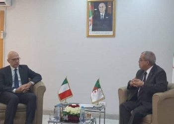 عون يدعوا الإيطاليين لتوسيع الشراكة في مجال الصناعة