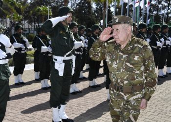 السعيد شنڨريحة…الجيش الجزائري يحفظ استقلال البلاد