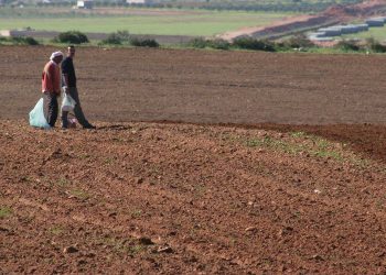 1400 فلاح استفادوا من منحة الفيضانات الأخيرة