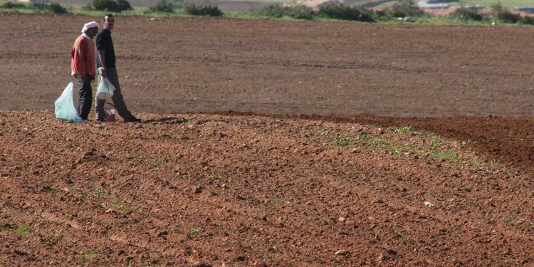 1400 فلاح استفادوا من منحة الفيضانات الأخيرة