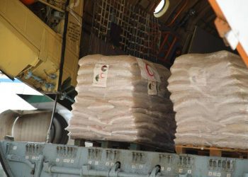 جسر جوي من المساعدات نحو فلسطين