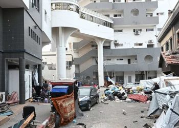 جميلة الهسي… قوات الاحتلال اغتصبت النساء في غزة