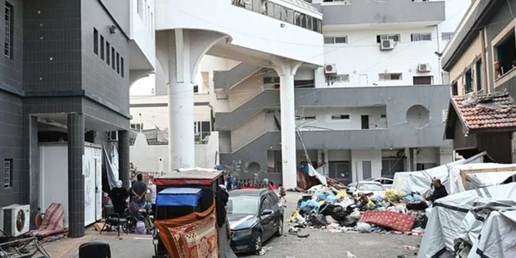 جميلة الهسي… قوات الاحتلال اغتصبت النساء في غزة