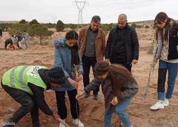 السد الأخضر…حملة تطوعية لغرس 1000 شجرة