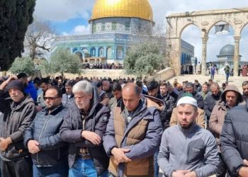 رغم التضييق…أكثر من 120 ألف مصل في المسجد الاقصى