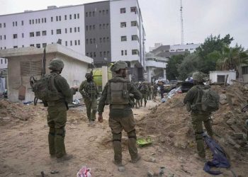 مقررة للأمم المتحدة…إسرائيل ترتكب تطهير عرقي في غزة