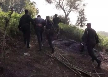 توقيف 3 أشخاص لقيامهم بإضرام النيران في الغابات