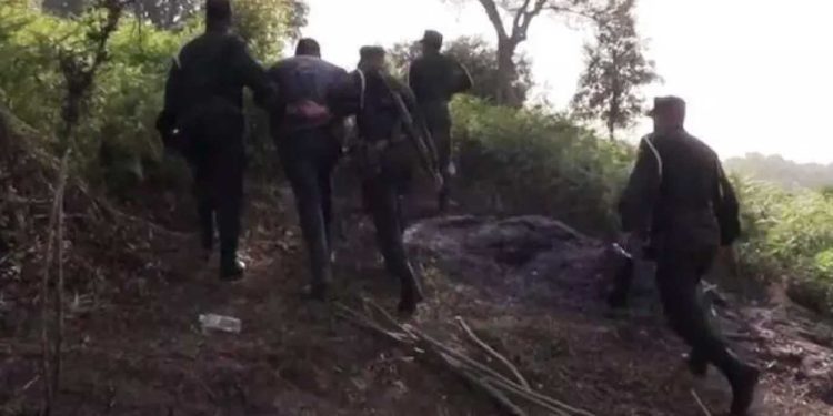 توقيف 3 أشخاص لقيامهم بإضرام النيران في الغابات