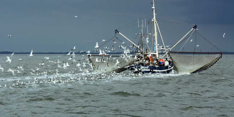 صيد بحري…109 سفينة للصيد في أعالي البحار