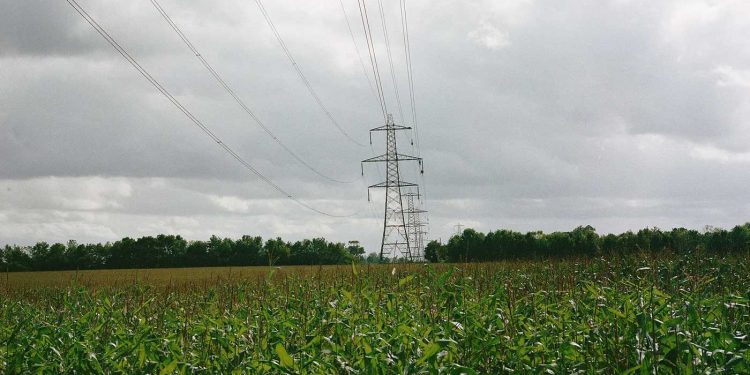 أمن غذائي…نسبة ربط الأراضي الفلاحية بالكهرباء في الجزائر بلغت 50 بالمائة