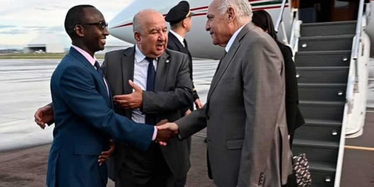 رواندا…الجزائر تشارك في إحياء ذكرى مجازر الإبادة الجماعية