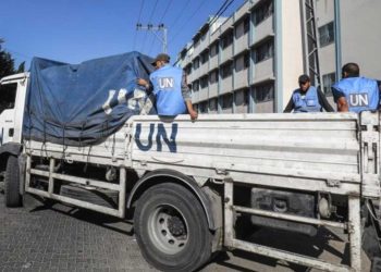 الجزائر…لا بديل عن الأونروا في غزة