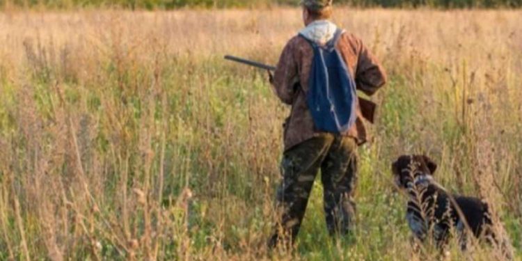 تعزيز تنظيم الصيد: 26 ألف رخصة تأهيل منذ 2018