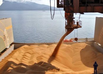 وكالة عسكرية مصرية تتولى استيراد القمح بدلًا من هيئة السلع التموينية