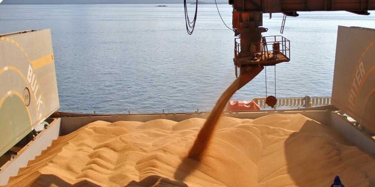 وكالة عسكرية مصرية تتولى استيراد القمح بدلًا من هيئة السلع التموينية