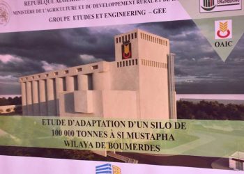 سلاسل التخزين: مشاريع صوامع لتخزين الحبوب