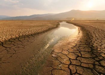 دراسة جديدة تكشف أسباب وتداعيات الجفاف في شمال الجزائر