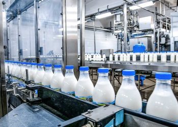 بدء التنفيذ الفعلي لأكبر مشروع لإنتاج الحليب في الجنوب الجزائري