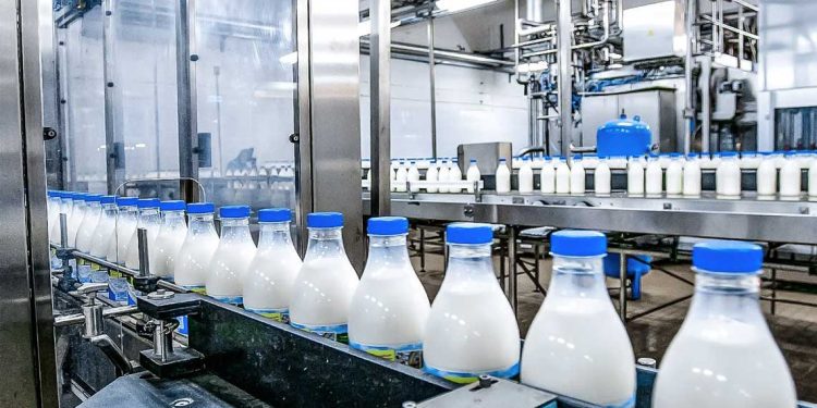 بدء التنفيذ الفعلي لأكبر مشروع لإنتاج الحليب في الجنوب الجزائري