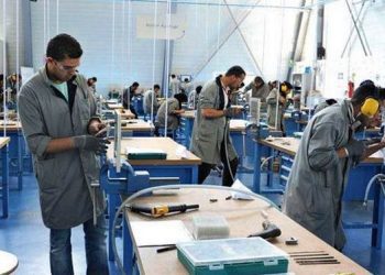 ناسدا…خطة جديدة لمرافقة مشاريع الفلاحة والبناء والصيانة