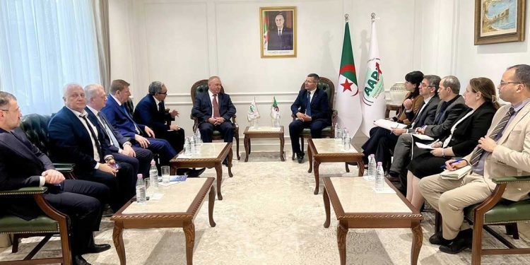 الوكالة الجزائرية لترقية الاستثمار تستعرض فرص التعاون مع وفد روسي