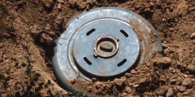 الجزائر والألغام: إرث الاستعمار ودعوات التعويض