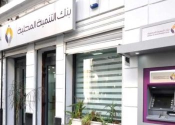 بنك التنمية المحلية يمنح تمويلات بـ9.75 مليار دولار في 2024