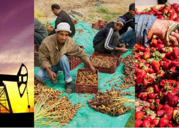 جنوب إفريقيا ومصر والجزائر ونيجيريا تواصل تصدر الاقتصادات الإفريقية في 2025