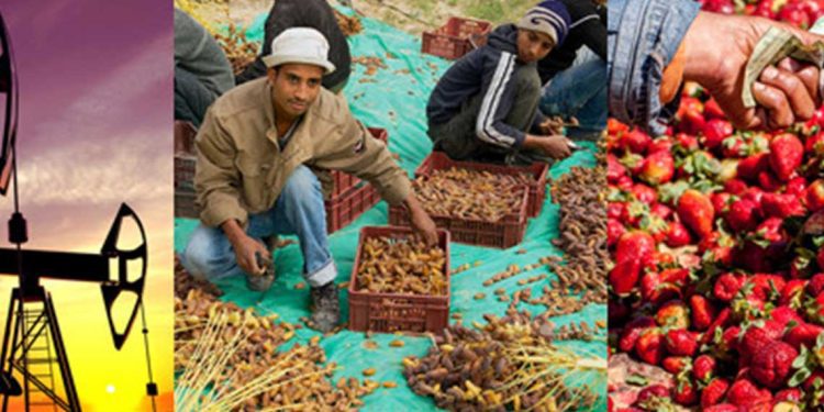 جنوب إفريقيا ومصر والجزائر ونيجيريا تواصل تصدر الاقتصادات الإفريقية في 2025