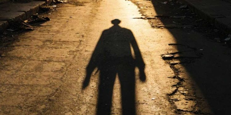 “اختفاء السيد لا أحد”…الرواية الجزائرية تعبر المحيط وتصل ساو باولو