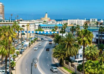 زهرة روسية في قلب الجزائر: رحلة عشق واندماج