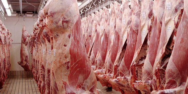 توسيع مشروع “بي أف الجزائر” لإنتاج اللحوم الحمراء بالجنوب