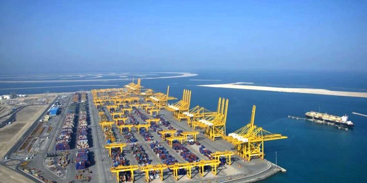 تصدير… عقود جديدة تفتح أبواب السوق الخليجية