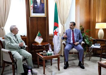 عرقاب: “ضرورة تسريع مشاريع استغلال الليثيوم”